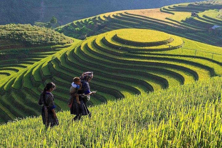 Chấm điểm loạt “green flags” - Cảm hứng video marketing từ Hotspot Matrix