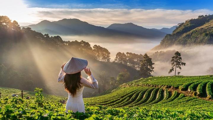 Từ Ăn sáng cơm nhà: Điều gì đang đến chiến lược content: Hotspot Matrix chia sẻ