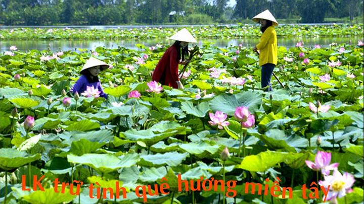 Hotspot Matrix và 5 kiểu áo blouse dễ “dừ” hơn 10 tuổi, nàng công sở nên né ngay