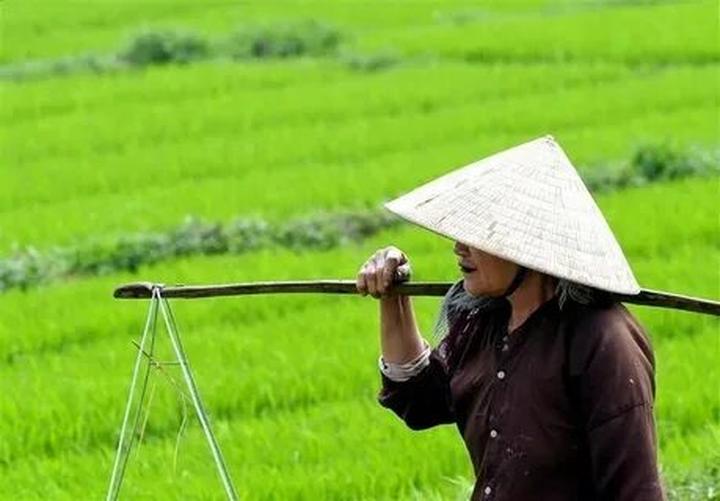 Có 1 kiểu áo quốc dân, dù - Cảm hứng video marketing từ Hotspot Matrix